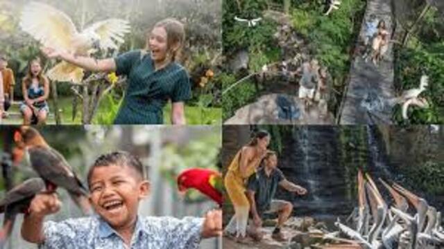 Wisata Alam di Bali Bird Park Surga Burung Eksotis di Pulau
